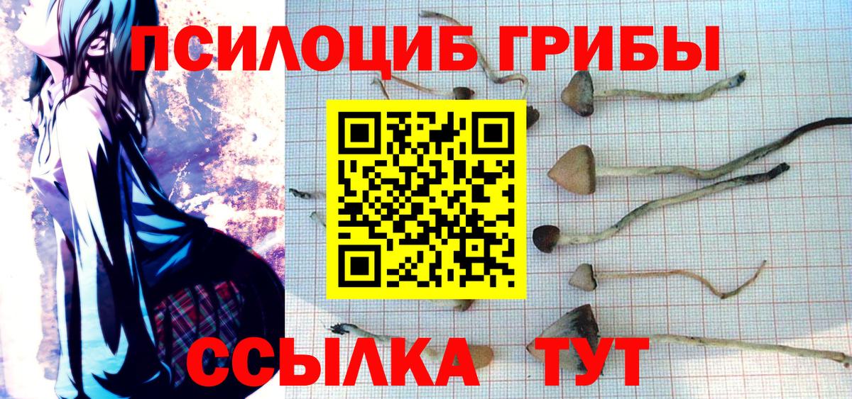 Псилоцибиновые грибы Psilocybine cubensis Ирбит