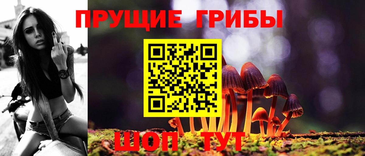 Псилоцибиновые грибы мицелий  где найти   Ирбит  Вход с VPN 